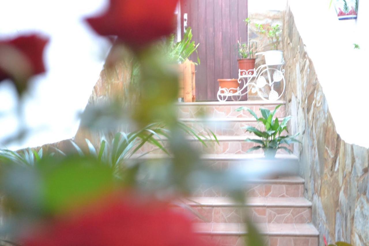 Casa Alamo Agaete Hotel Agaete  Ngoại thất bức ảnh